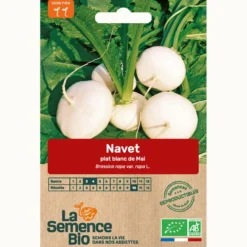 Navet plat blanc bio