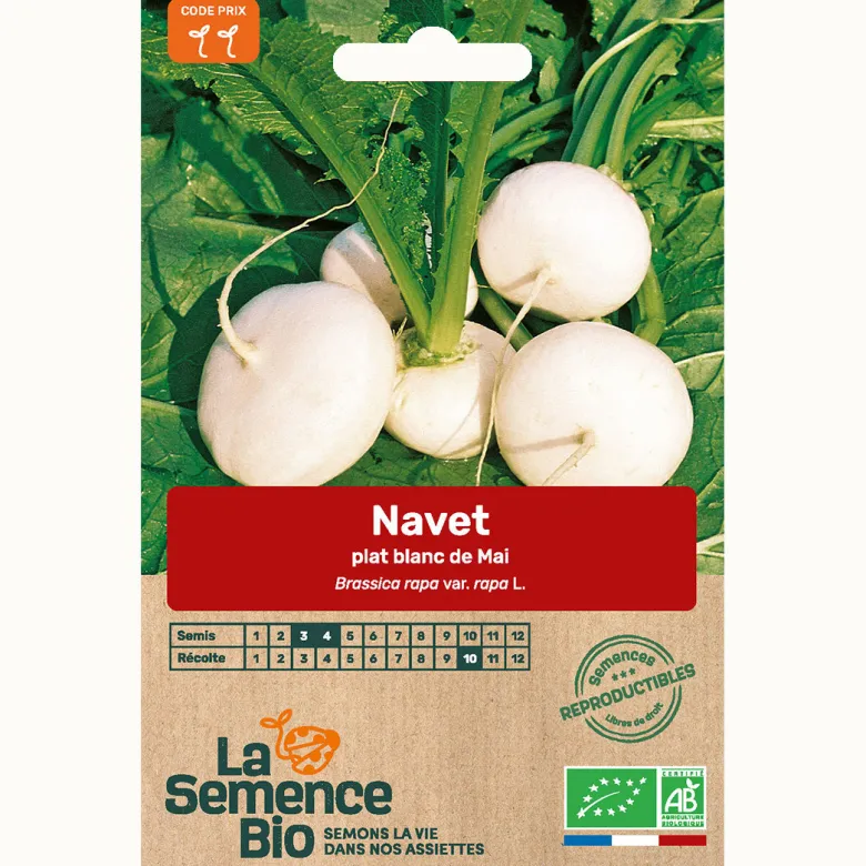Navet plat blanc bio