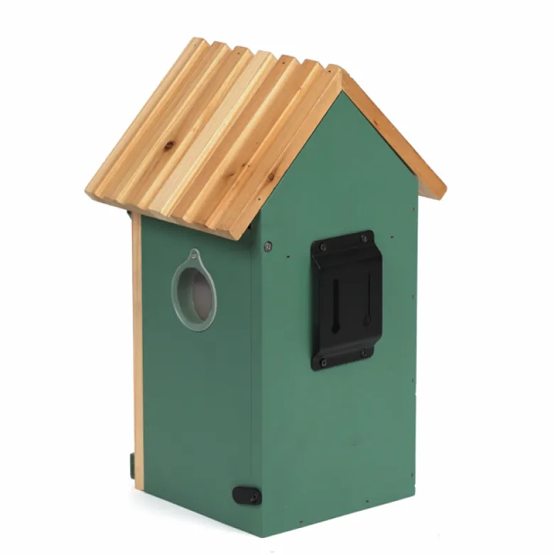 Nichoir caméra en bois
