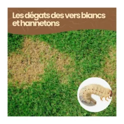 Nématodes hb - 500 m² - vers blanc hannetons - 250 millions