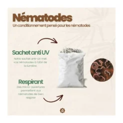 Nématodes sf - 4 arbres - carpocapses pomme poire noix - 10m