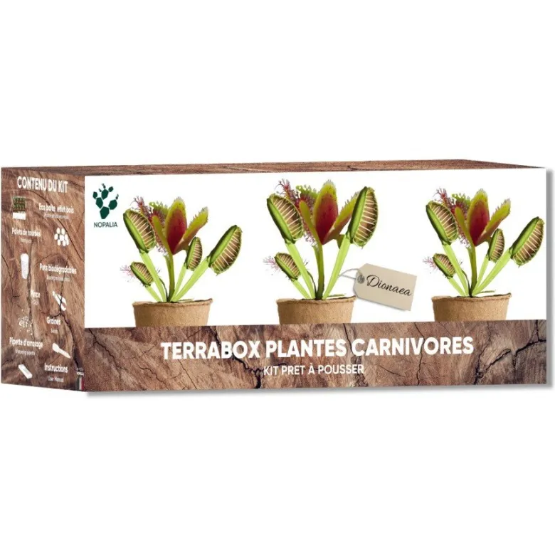 Nopalia® kit plantes carnivores – dionée attrape-mouche – kit complet