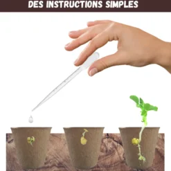 Nopalia® kit plantes carnivores – dionée attrape-mouche – kit complet