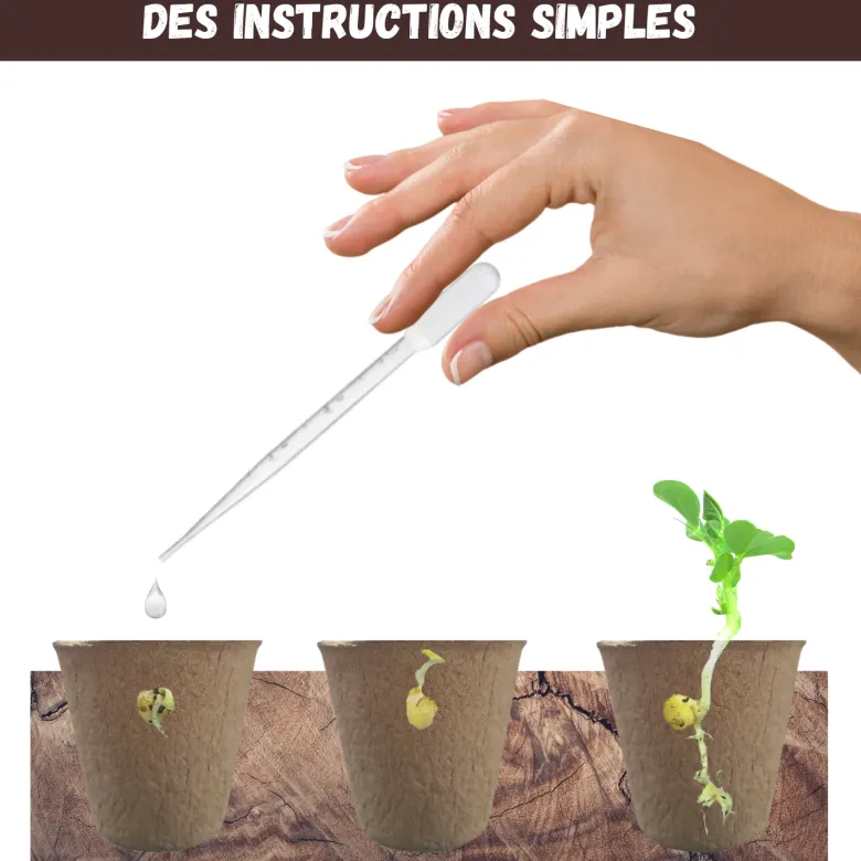 Nopalia® kit plantes carnivores – dionée attrape-mouche – kit complet