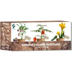 Nopalia® kit potager prêt à pousser – graines bio (tomate, courgette, aubergine)