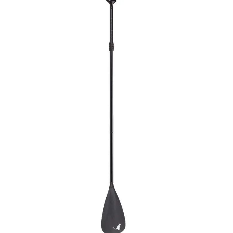 Pagaie stand up paddle