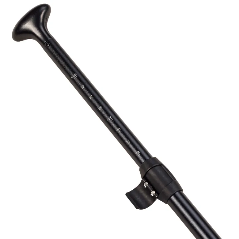 Pagaie stand up paddle