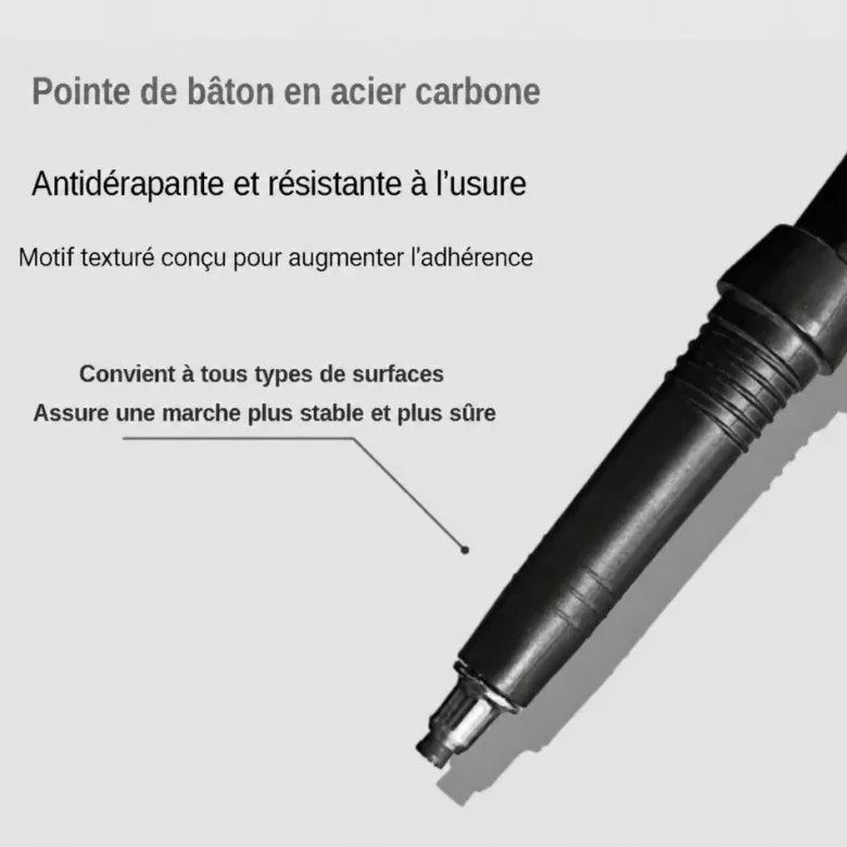 Paire de bâtons de marche voxor Bleu