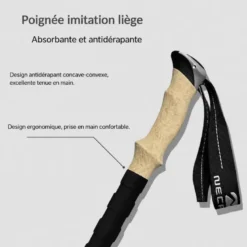 Paire de bâtons de marche voxor Bleu