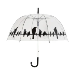 Parapluie transparent oiseaux