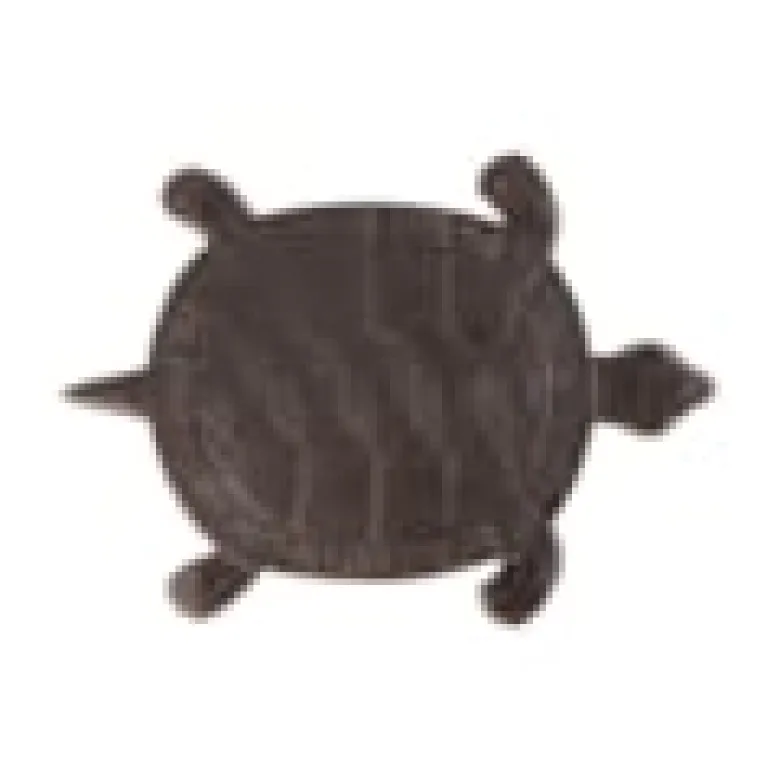 Pas japonais tortue en fonte - esschert