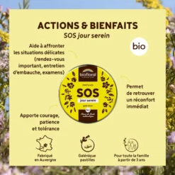 Pastilles de secours bio sans alcool