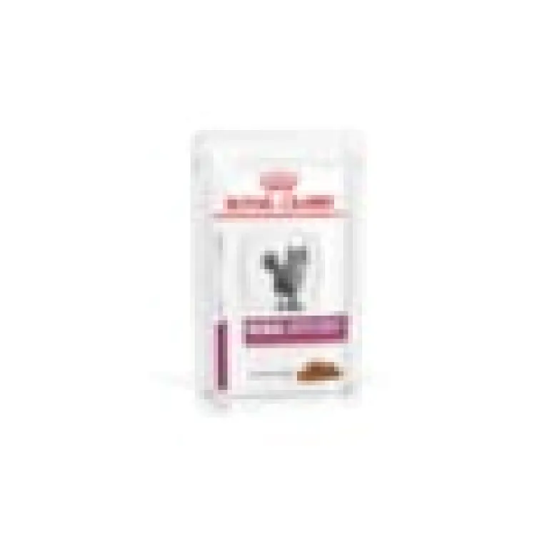 Patée chat veterinary cat renal boeuf - royal canin