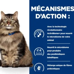 Patee chat adult prescription diets gastrointestinal biome (boite) - hill's
