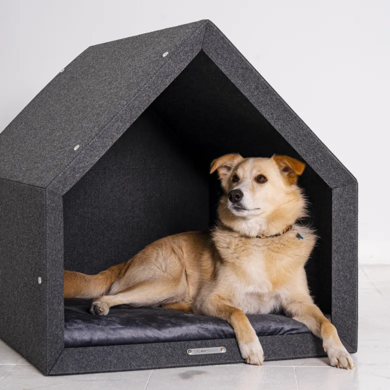 Pethome gris clair-graphite m