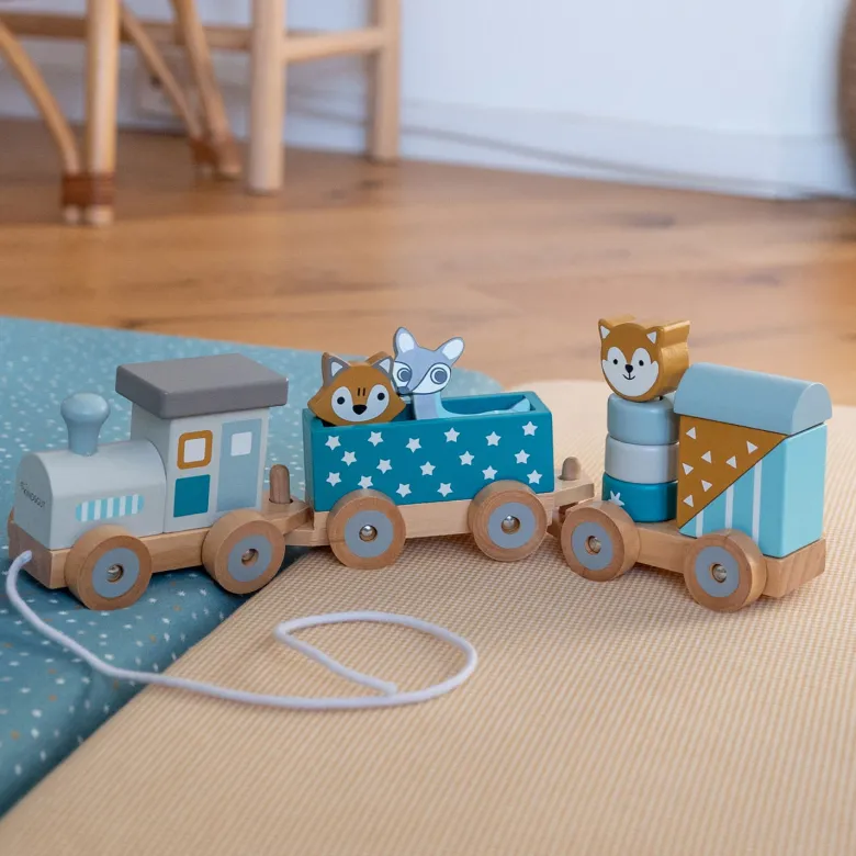 Petit train étoilé animaux du zoo Pétrole