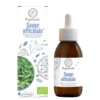 Phytofacile sauge officinale