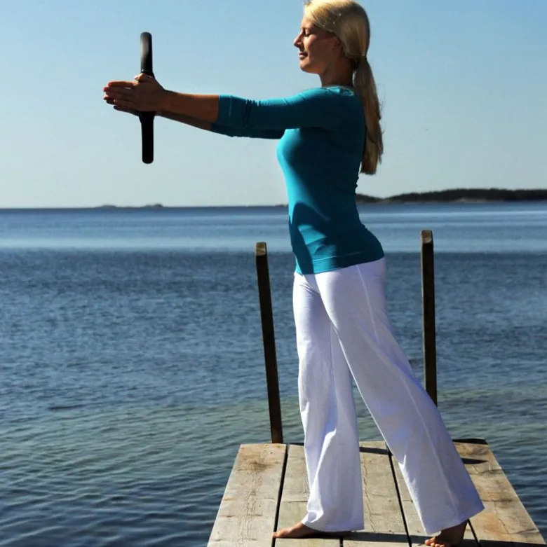 Pilates circle sissel