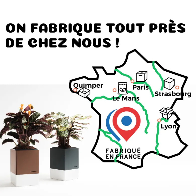 Pot à auto-arrosage et son terreau spécifique