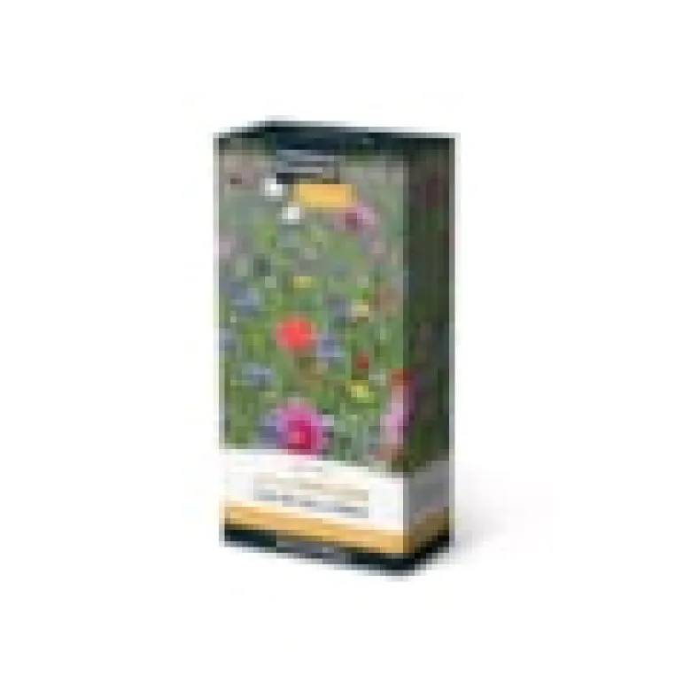 Prairies fleuries : papillons