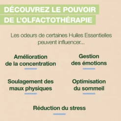 Pranarom - brume d'oreiller sleep - bio