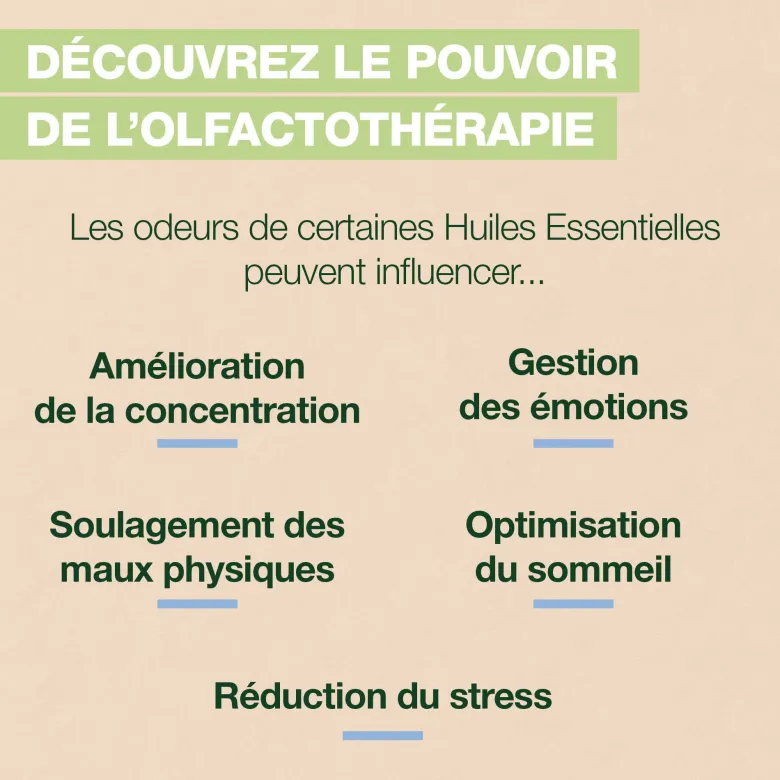 Pranarom - brume d'oreiller sleep - bio