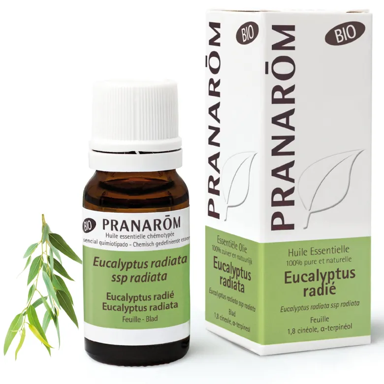 Pranarom - huile essentielle d'eucalyptus radié - bio