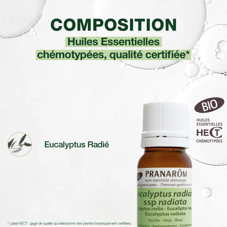Pranarom - huile essentielle d'eucalyptus radié - bio