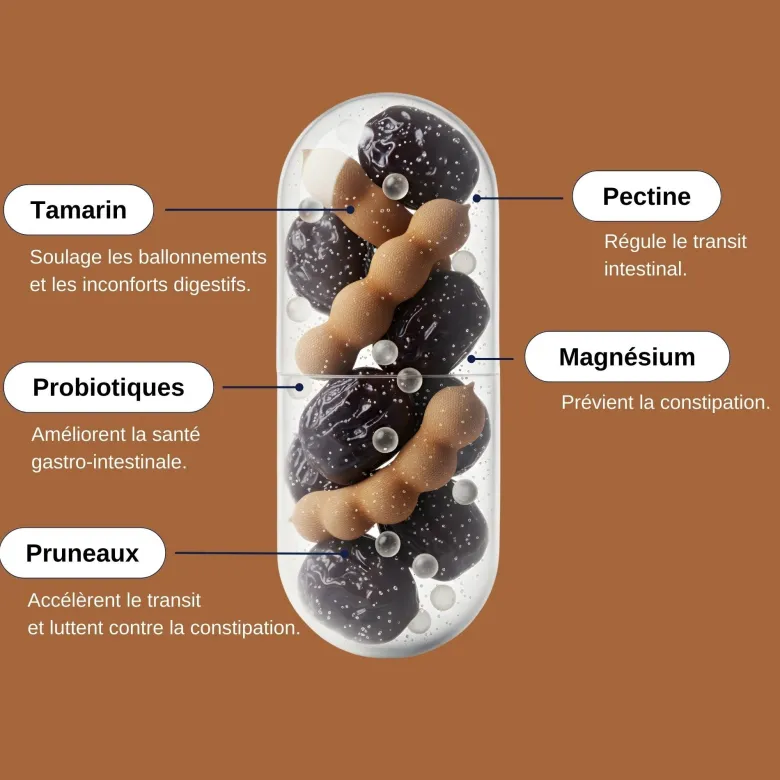 Probio transit - cure transit de 1 mois