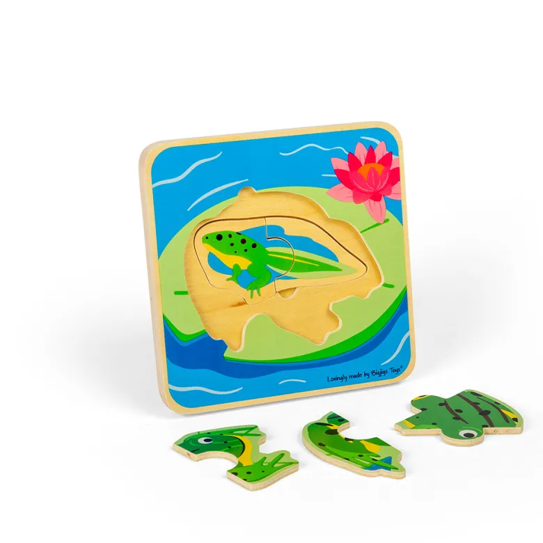 Puzzle du cycle de vie - grenouille
