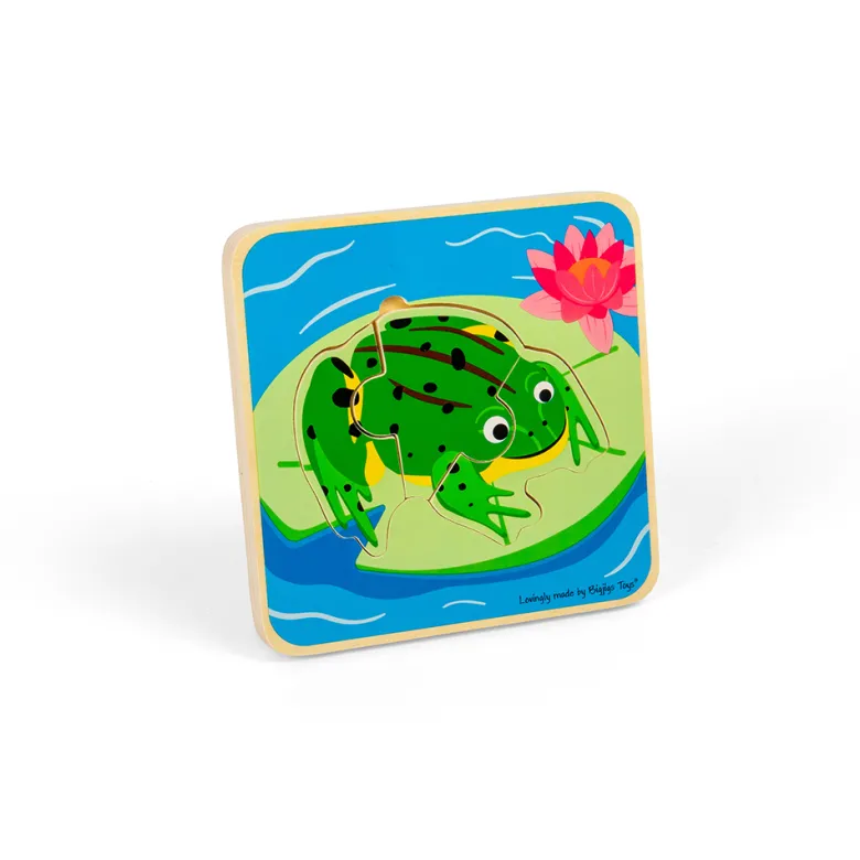 Puzzle du cycle de vie - grenouille