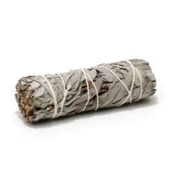Sauge blanche à brûler