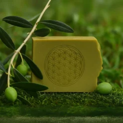 Shampoing bio fleur de vie