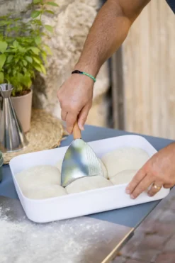 Spatule panetta