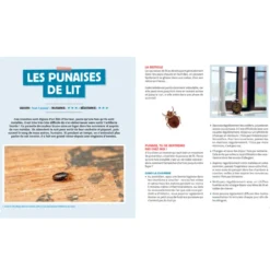 Stratégie anti-bestioles à la maison