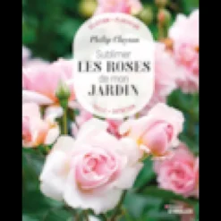 Sublimer les roses de mon jardin