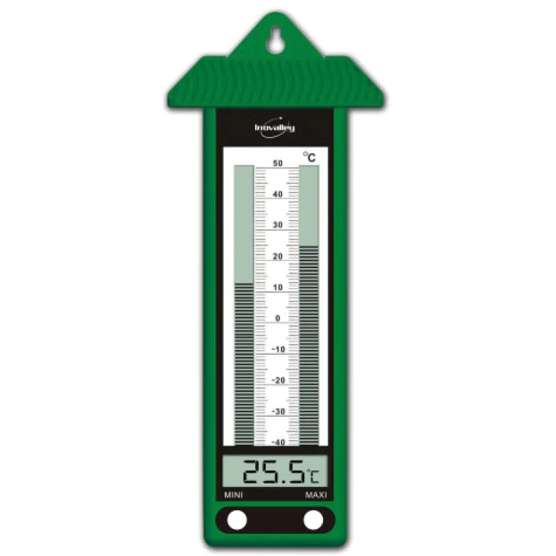 Thermomètre électronique mini maxi vert