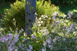 Totem ardoise 120 cm - bullettes