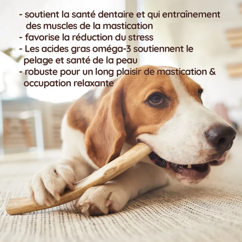 Wildfang - causer le bâton du cerf de jachère - 1 x l