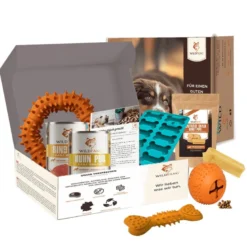Wildfang - coffret « magic box » - pour petits chiens jusqu'à 25 kg