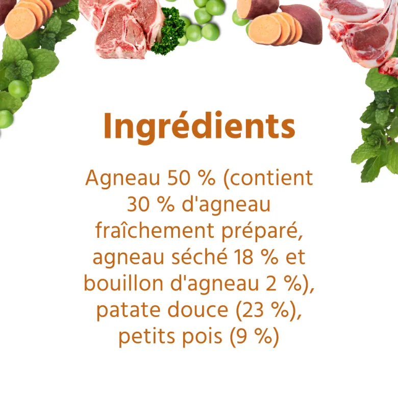 Wildfang® croquettes adultes à l'agneau - sans céréales - 2 x 2 kg