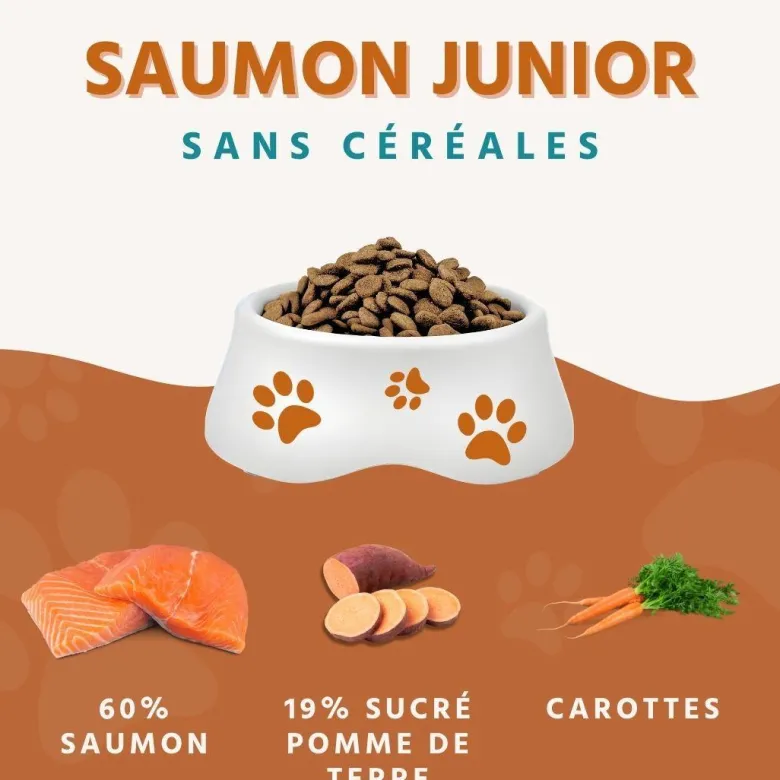 Wildfang® croquettes junior au saumon pour chiots - sans céréales - 2 x 6 kg