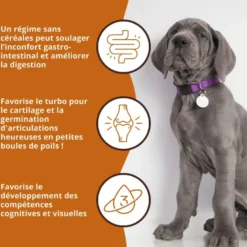 Wildfang® croquettes junior au saumon pour chiots - sans céréales - 2 x 6 kg