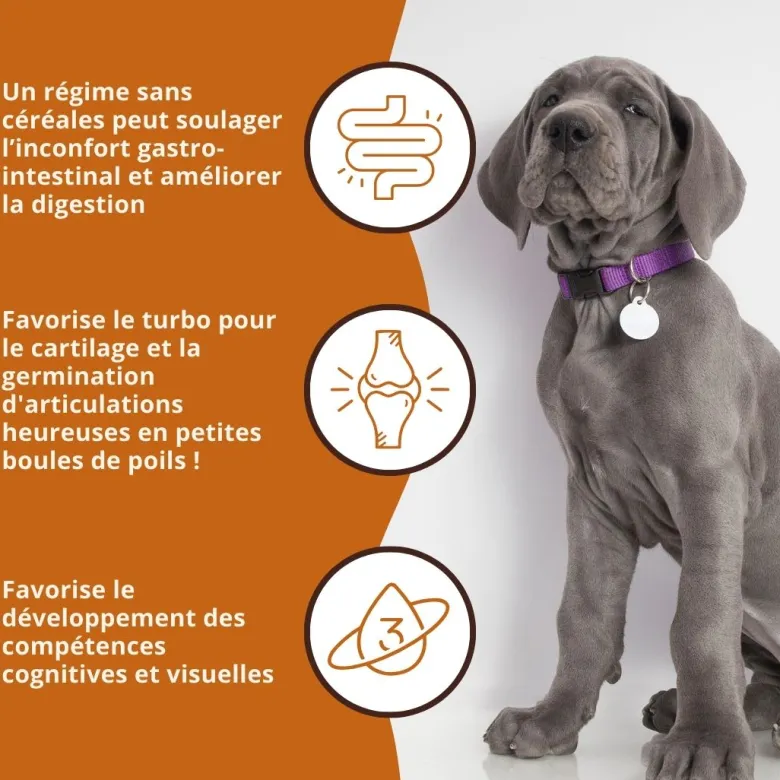 Wildfang® croquettes junior au saumon pour chiots - sans céréales - 2 x 6 kg