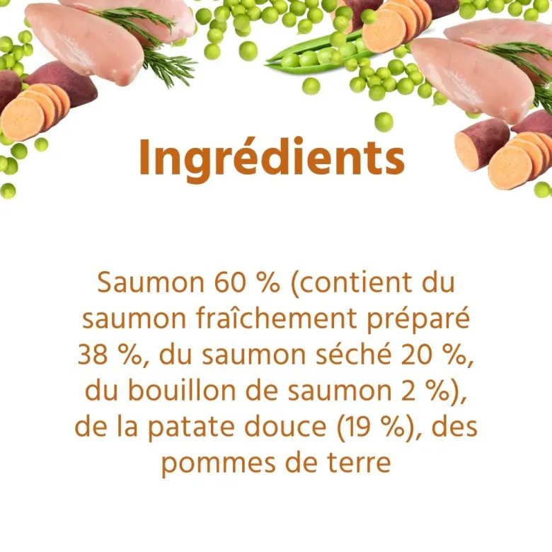 Wildfang® croquettes junior au saumon pour chiots - sans céréales - 2 x 6 kg