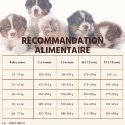 Wildfang® croquettes junior au saumon pour chiots - sans céréales - 2 x 6 kg