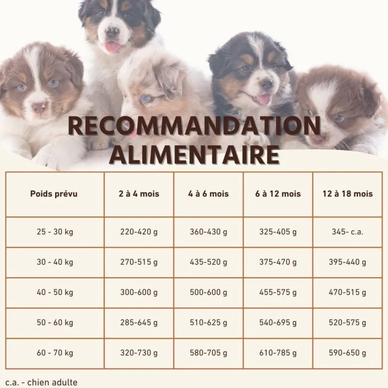 Wildfang® croquettes junior au saumon pour chiots - sans céréales - 2 x 6 kg